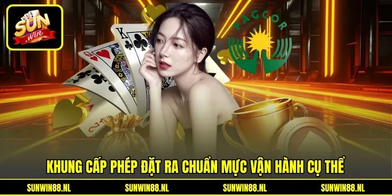 Khung cấp phép đặt ra chuẩn mực vận hành cụ thể Khung cấp phép đặt ra chuẩn mực vận hành cụ thể