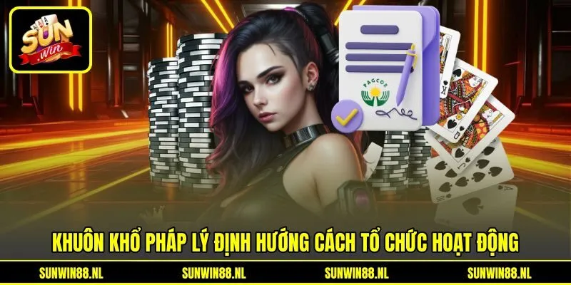 Khuôn khổ pháp lý định hướng cách tổ chức hoạt động Khuôn khổ pháp lý định hướng cách tổ chức hoạt động